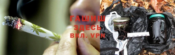 spice Медвежьегорск