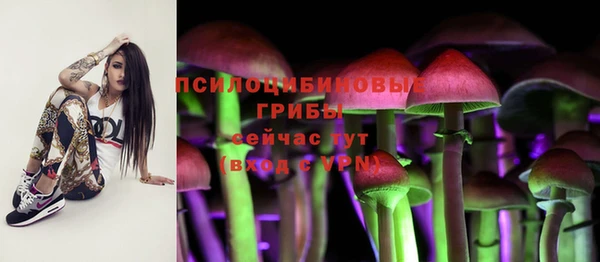 spice Медвежьегорск