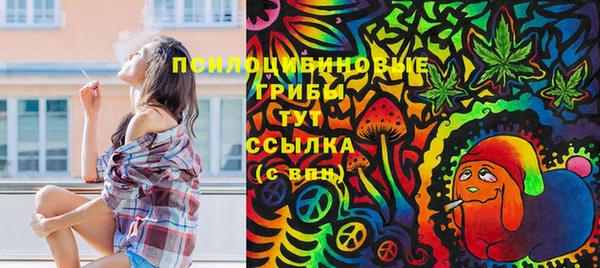 spice Медвежьегорск